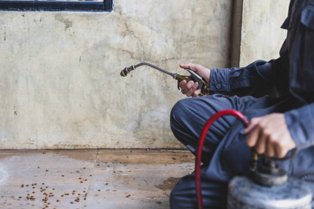 Pest Prevention Services in Saltville, VA